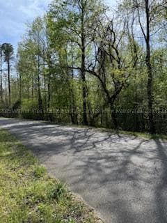 00 Slick Lizzard Rd, Nauvoo, AL 35578