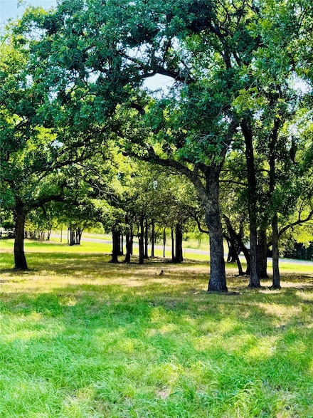 14004 Sandy Oaks Dr, Whitney, TX 76692