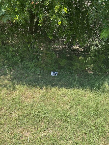 16045 Faircrest Dr, Whitney, TX 76692