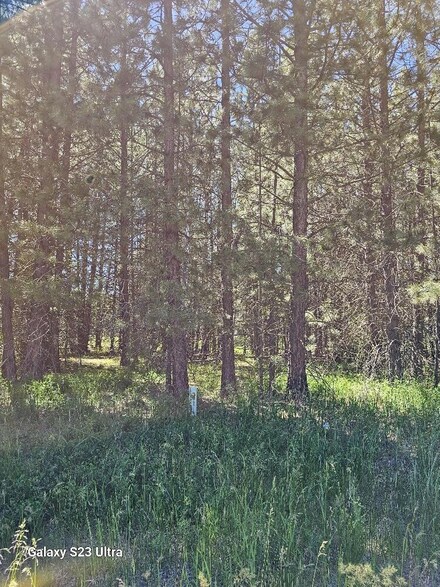 Lots 11-14 Pine St, Klamath Falls, OR 97601
