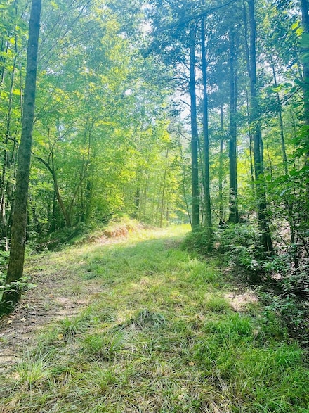 0 County Road 259, Glen, MS 38846