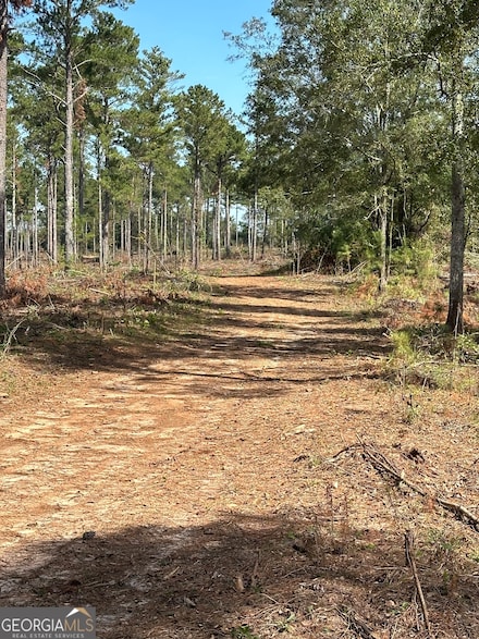 0 Seven Islands Rd Unit 10465703, Madison, GA 30650