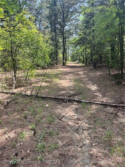 Tract 7 Station Rd, Bokoshe, OK 74930