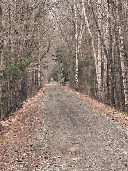0 E Side Rd Unit 5037019, Wentworth, NH 03223