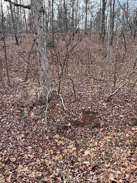 000 Iroquois Dr, Cherokee Village, AR 72529