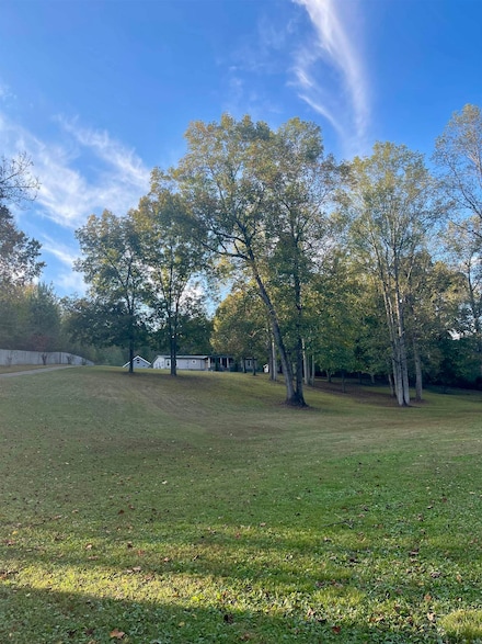 1843 County Road 59, Lexington, AL 35648