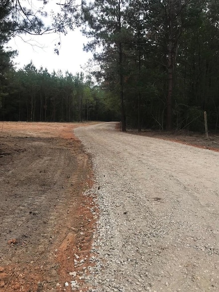 00 Tract # 7 Burgetown Rd, Carriere, MS 39426