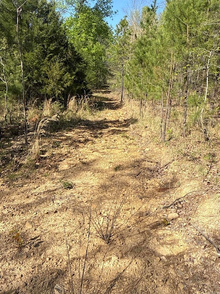 000 Henderson Rd Unit Tract 3, Clinton, AR 72031