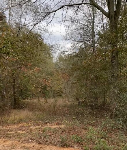 537 Ramsey Rd, Jackson, SC 29831