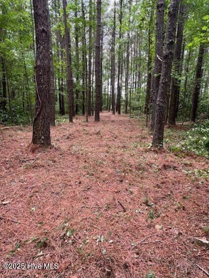 312 Riversound Dr, Edenton, NC 27932