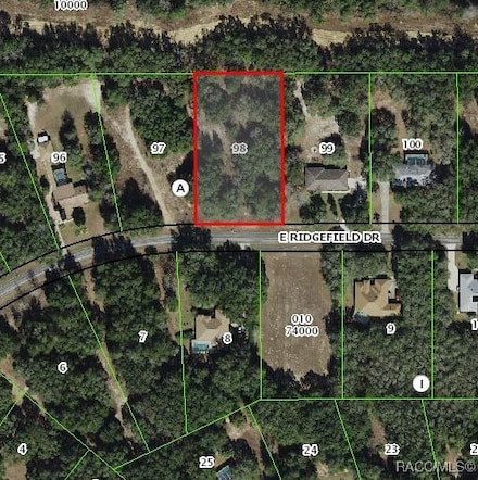 1399 E Ridgefield Dr, Hernando, FL 34442
