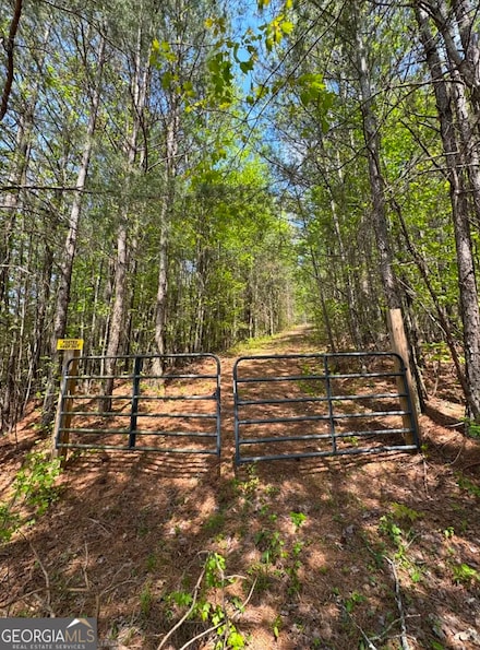 0001 Bryant Farm Ln, Ellijay, GA 30540