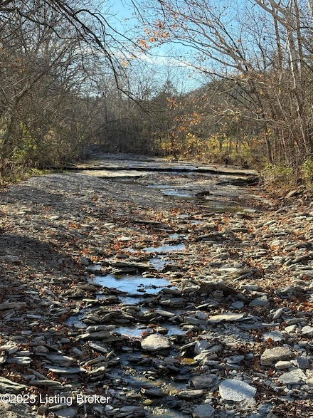 405 & 111 Tennessee Walking Ln, Milton, KY 40045