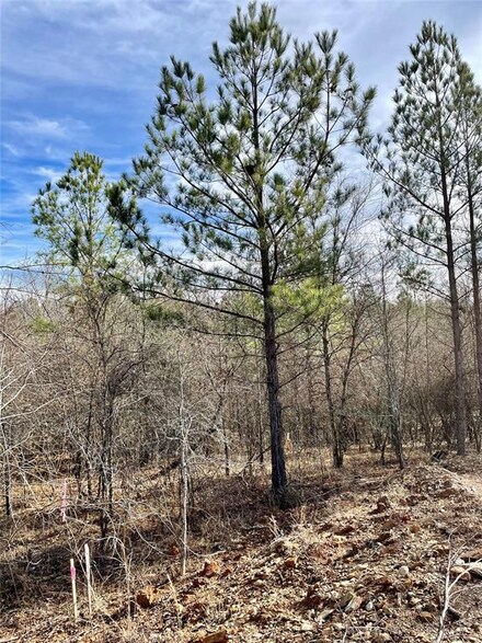 724 Timber Creek Trails South Xl, Broken Bow, OK 74728