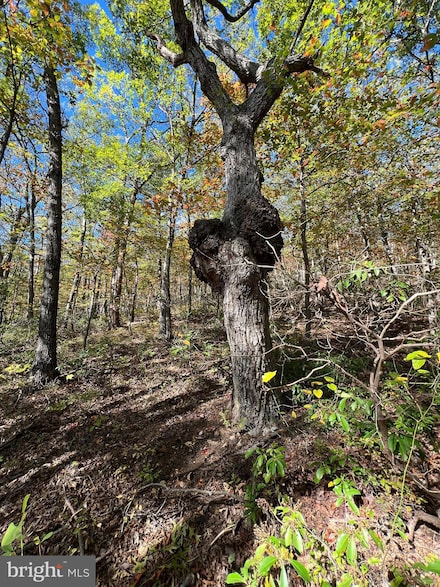 Lot 10,11,12-13 A 60 Fox Trail, Winchester, VA 22602