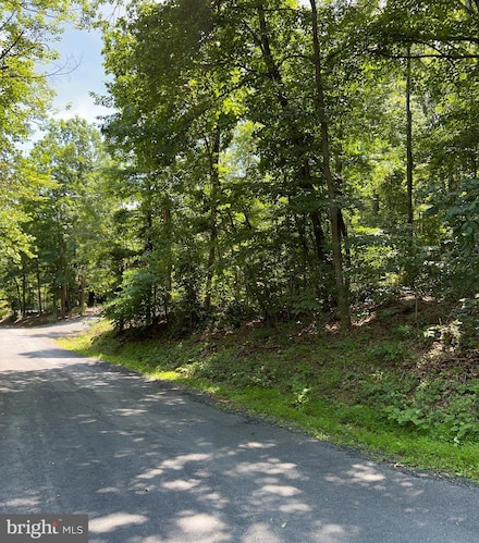 TBD Willow Ln, Basye, VA 22842