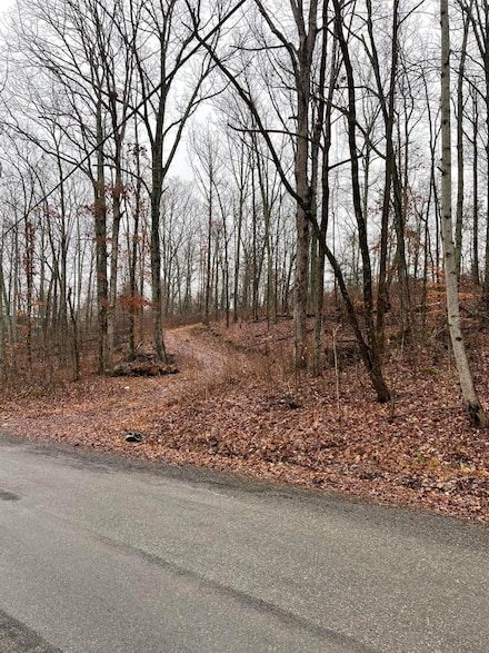 Lot 1 Sussex Rd, Dayton, TN 37321