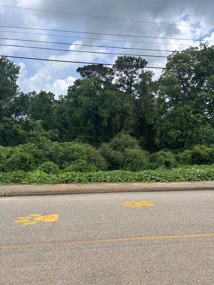 0 Creel Richardson Road (Formerly College St), Ariton, AL 36311