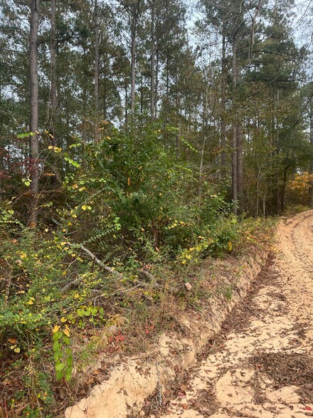 Ebh A2 Wagener Rd Unit Ebh A2, Wagener, SC 29164