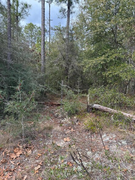 Lot 23 Sundance Rd, Defuniak Springs, FL 32435