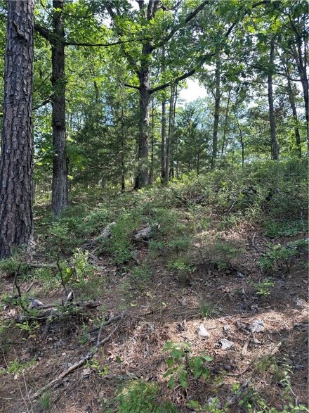 0 Cr 205, Eureka Springs, AR 72632