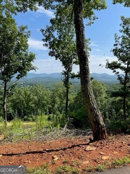 LOTS 116/117 Highland Park, Blairsville, GA 30512