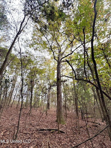 000 Elarton Rd, Osyka, MS 39657