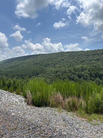 Skyline Trail, Honobia, OK 74957