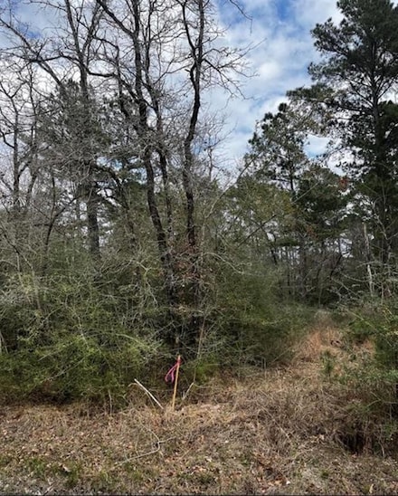 357 Pinnacle, Trinity, TX 75862