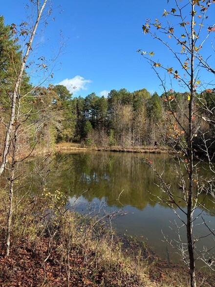 00 Mississippi 6, Oxford, MS 38655