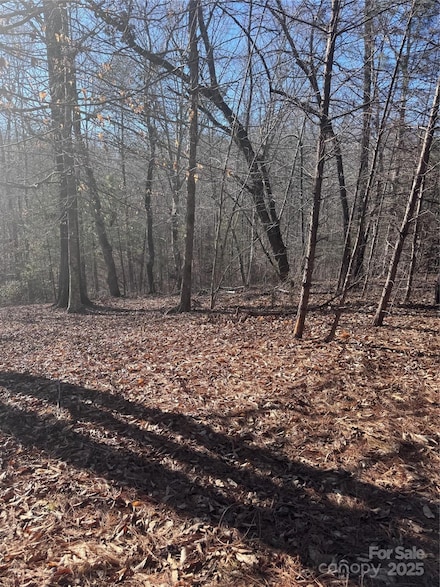 0 Clearwater Pkwy Unit 358 CAR4240927, Rutherfordton, NC 28139