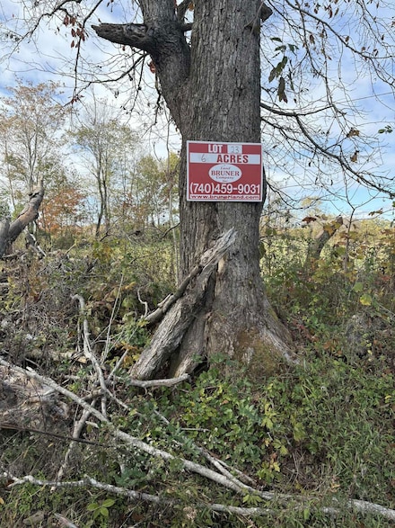 Pine Grove Ch Spur Rd, Vanceburg, KY 41179