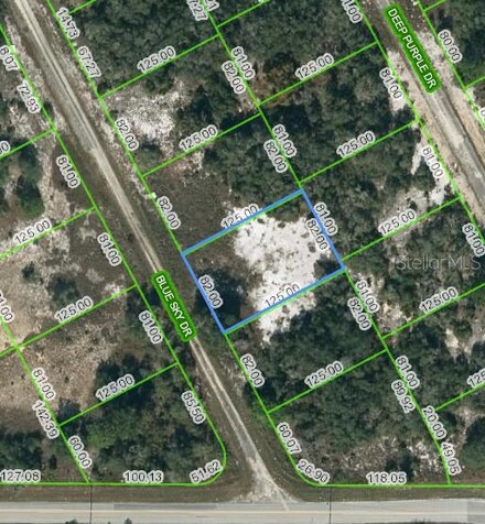 205 Blue Sky Dr, Lake Placid, FL 33852