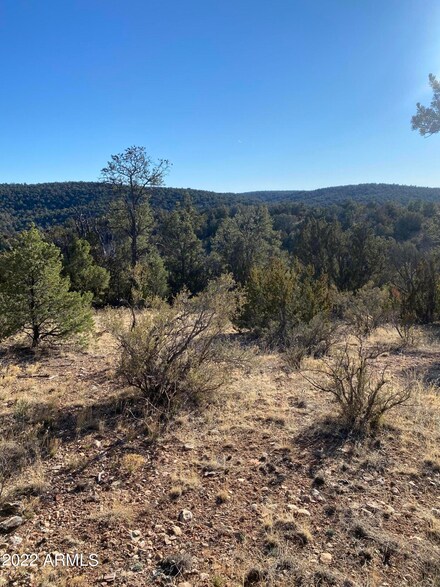 51804 N Cordero Rd Unit 3385, Seligman, AZ 86337