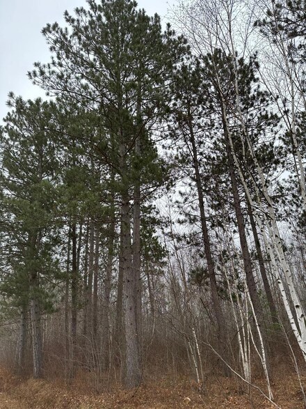 ON Swamp Lake Rd Unit 4069-16, Tomahawk, WI 54487
