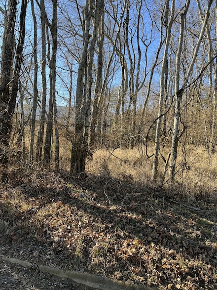 0 Sumpter St, Pulaski, TN 38478