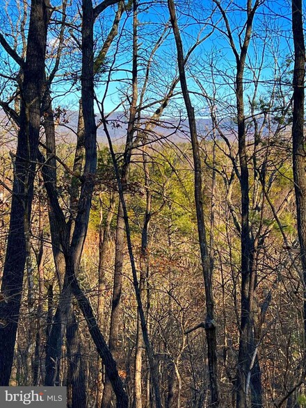 Lot 147 Valley View Rd, Basye, VA 22810