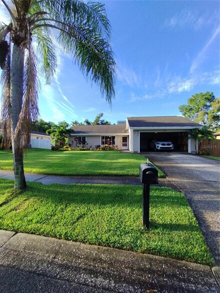 1329 Gulfview Woods Ln, Tarpon Springs, FL 34689