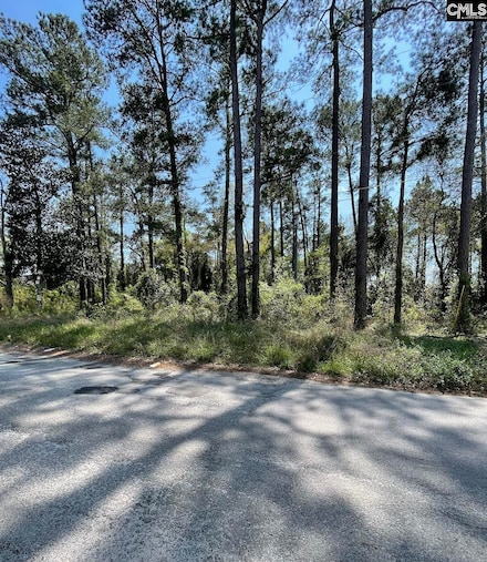 2501 Kneece Rd, Columbia, SC 29223