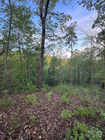 0 Willow Top Ln Unit 315 CAR4131489, Lake Lure, NC 28746