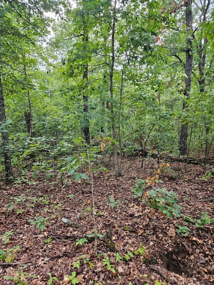 1211 Gypsy Dell, Horseshoe Bend, AR 72512