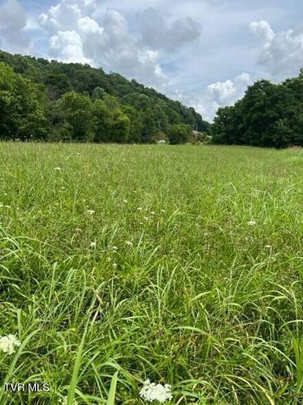 00 Clinch River Hwy, Clinchport, VA 24244