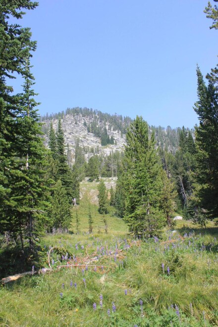 1 Nut Pine Lode, Philipsburg, MT 59858