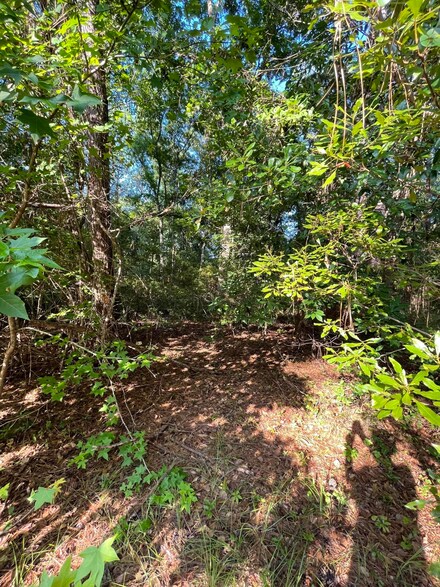 914 Flowers Ln, Edisto Island, SC 29438