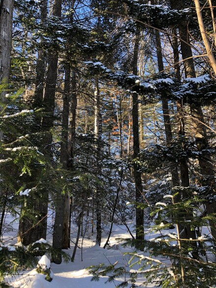 M16 L 27 28 Edelheid Rd, Sandy River Plantation, ME 04970
