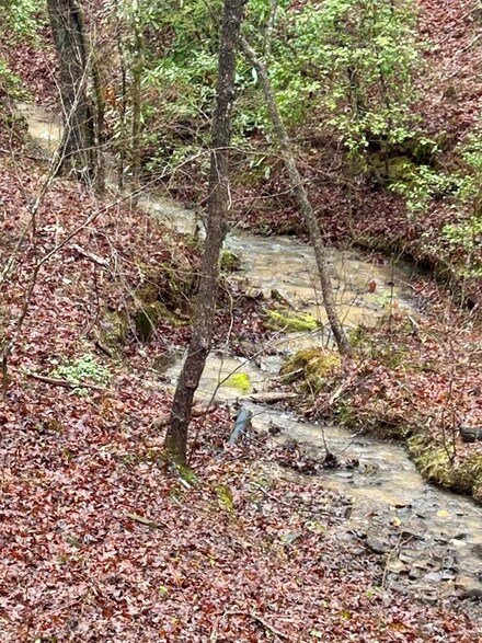 LT 61&62 Bice Ln, Blue Ridge, GA 30513