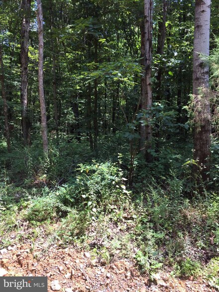 1 Lake Ferndale Dr, Springfield, WV 26763
