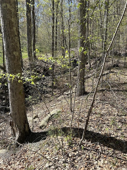 14 Hawk Mountain Dr, Sparrow Bush, NY 12780