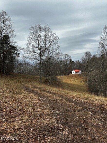 825 Cranenest Rd, Reedy, WV 25270