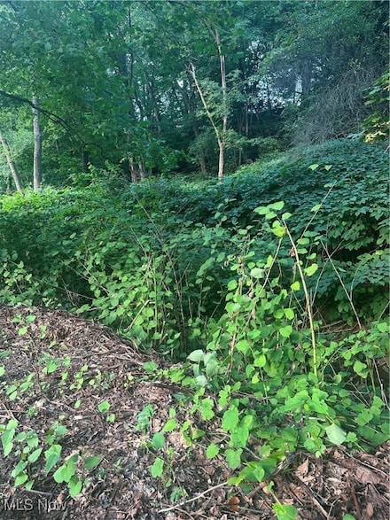0 Maxwell Ave, Chester, WV 26034